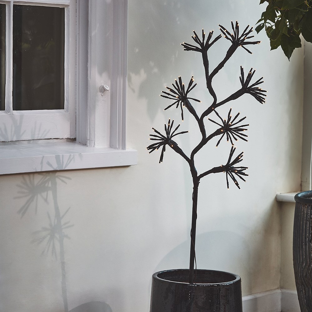 Solar starburst branch