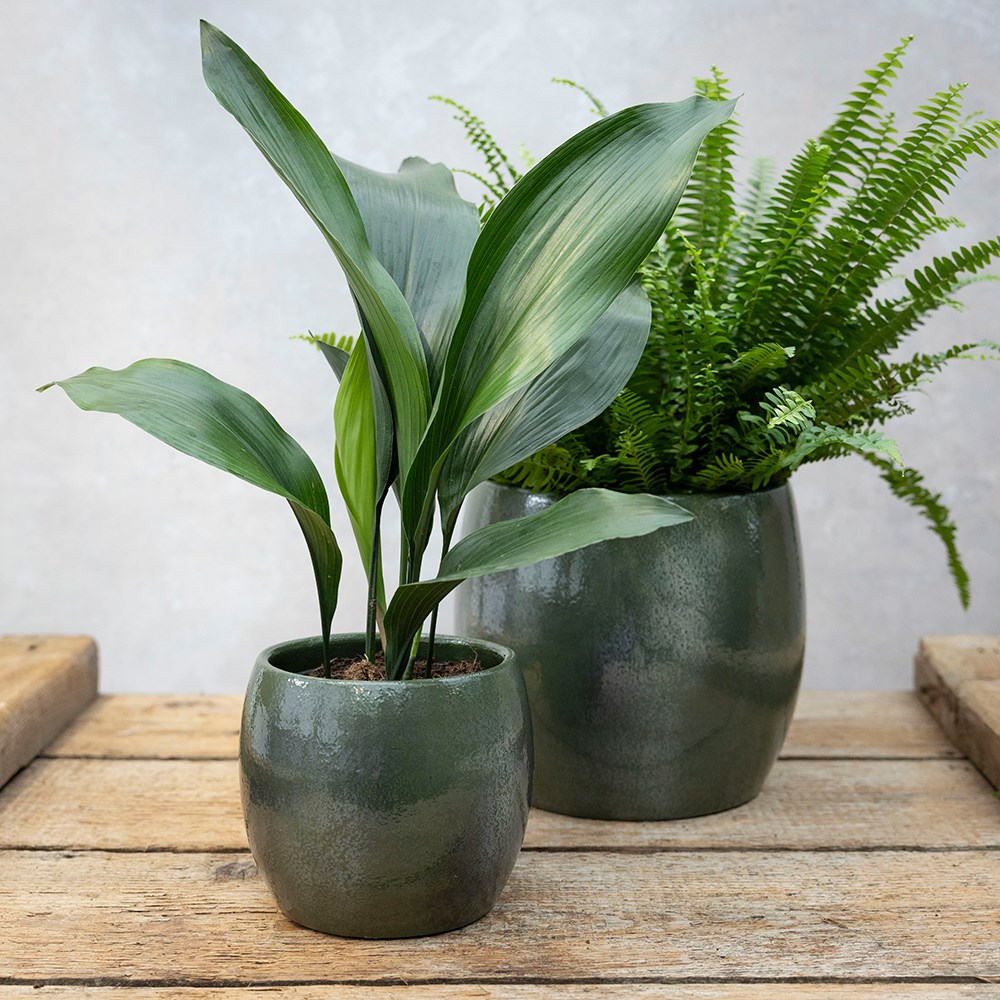 Glazed round plant pot - rustic green