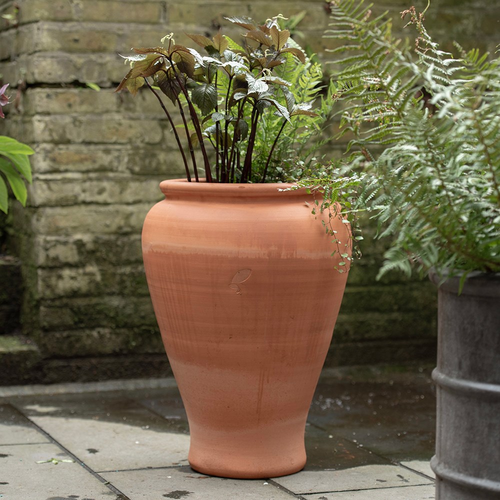 Terracotta vase planter