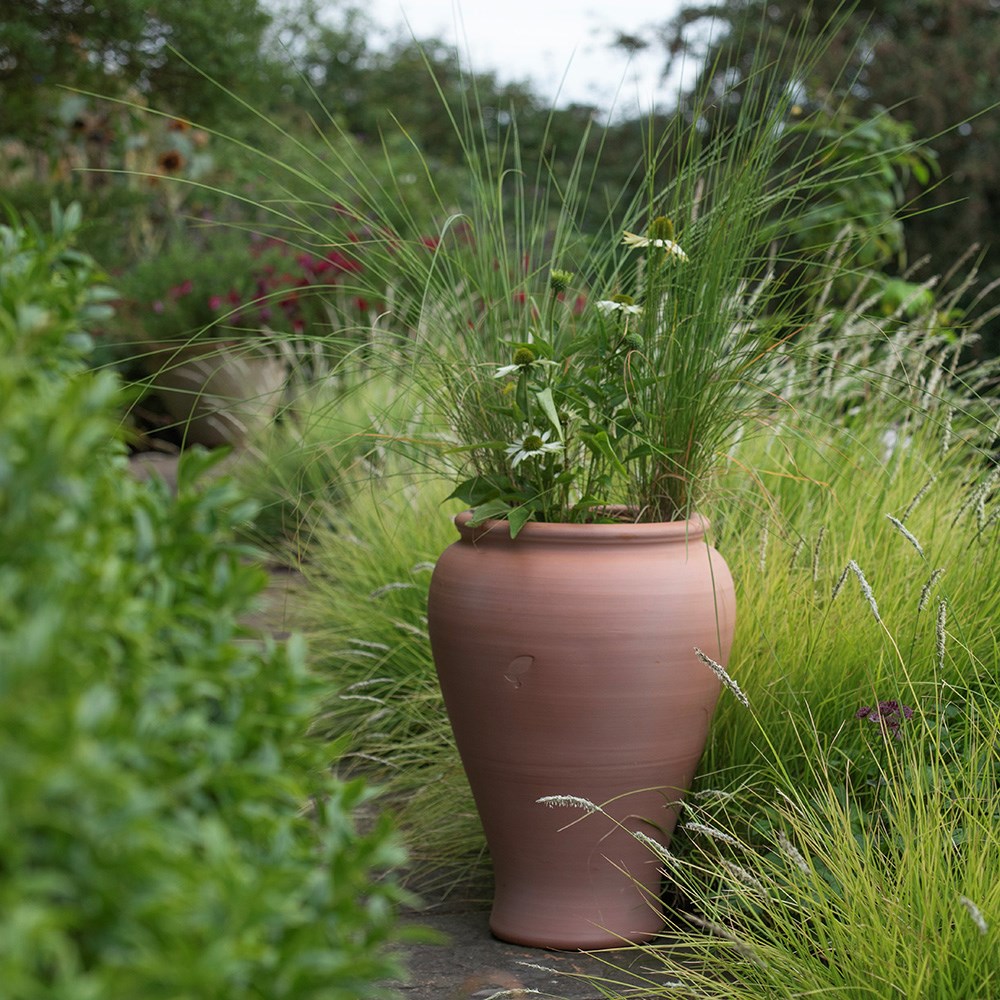 Terracotta vase planter