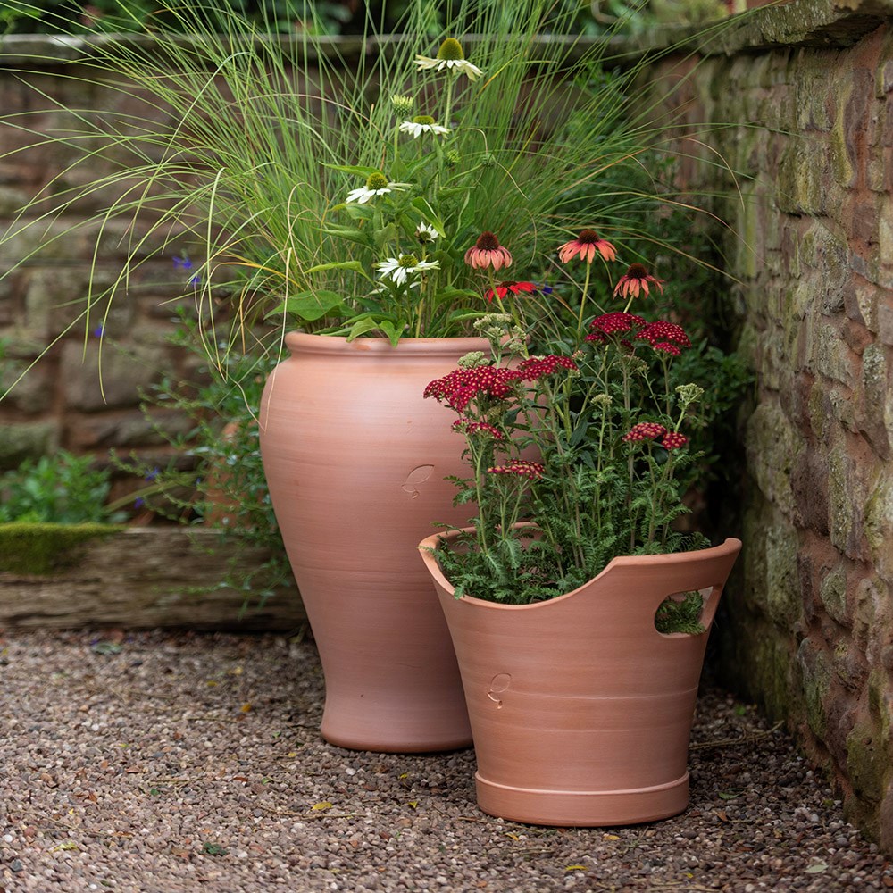 Terracotta vase planter