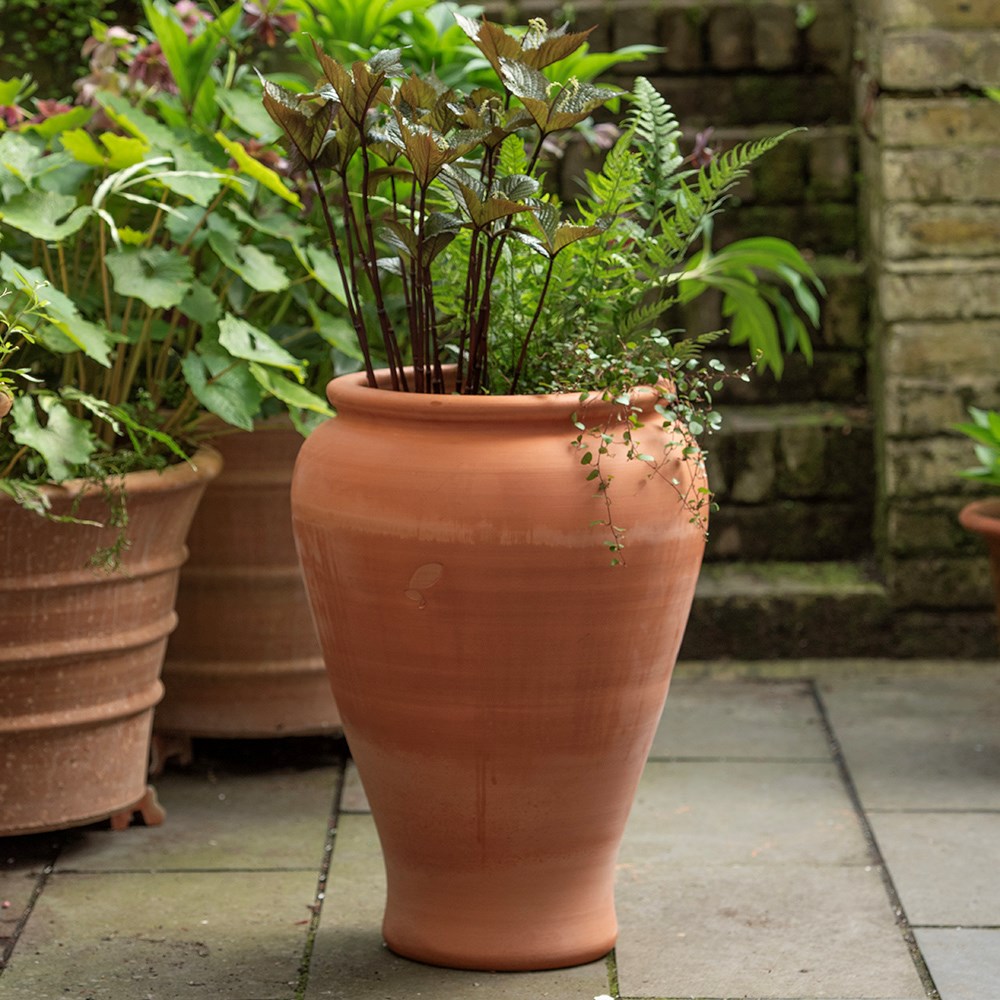 Terracotta vase planter