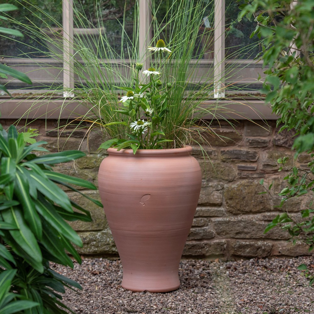 Terracotta vase planter