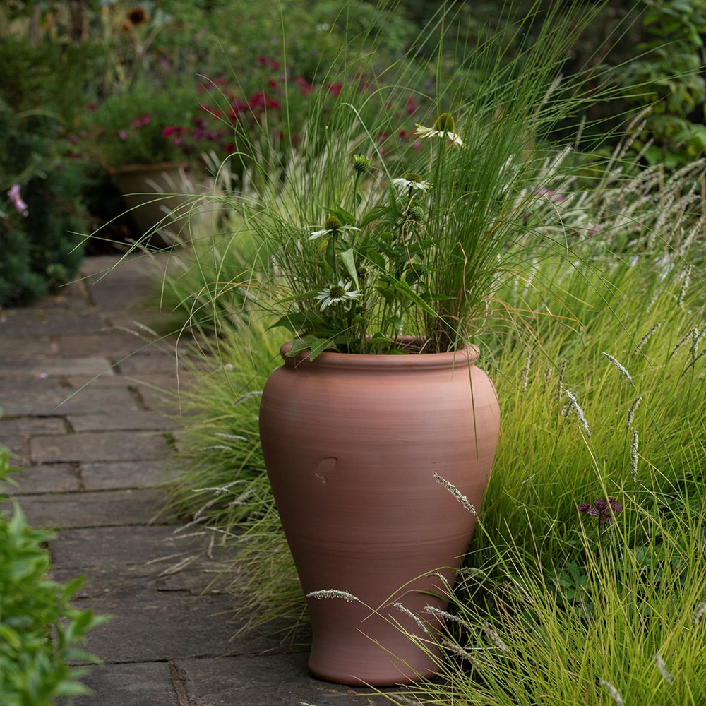 Terracotta vase planter