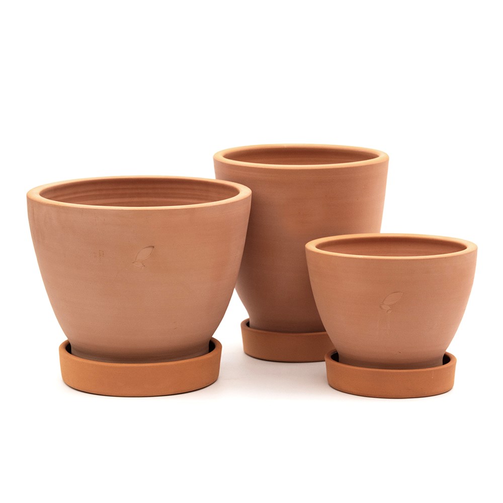 Terracotta lemon pot with glazed saucer