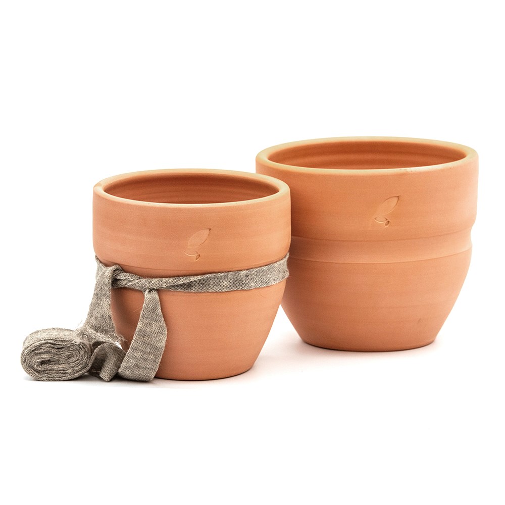 Terracotta slug and snail resistant pot