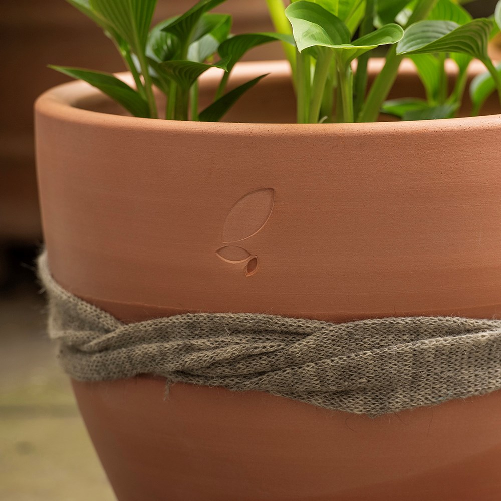 Terracotta slug and snail resistant pot