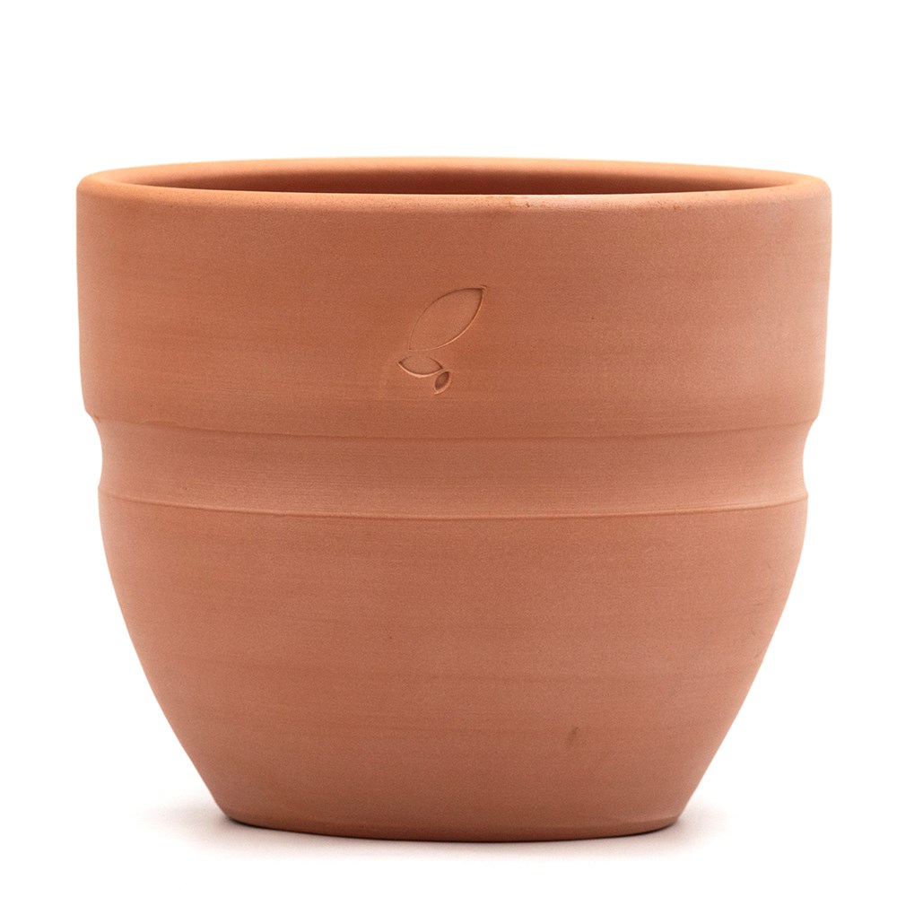 Terracotta slug and snail resistant pot