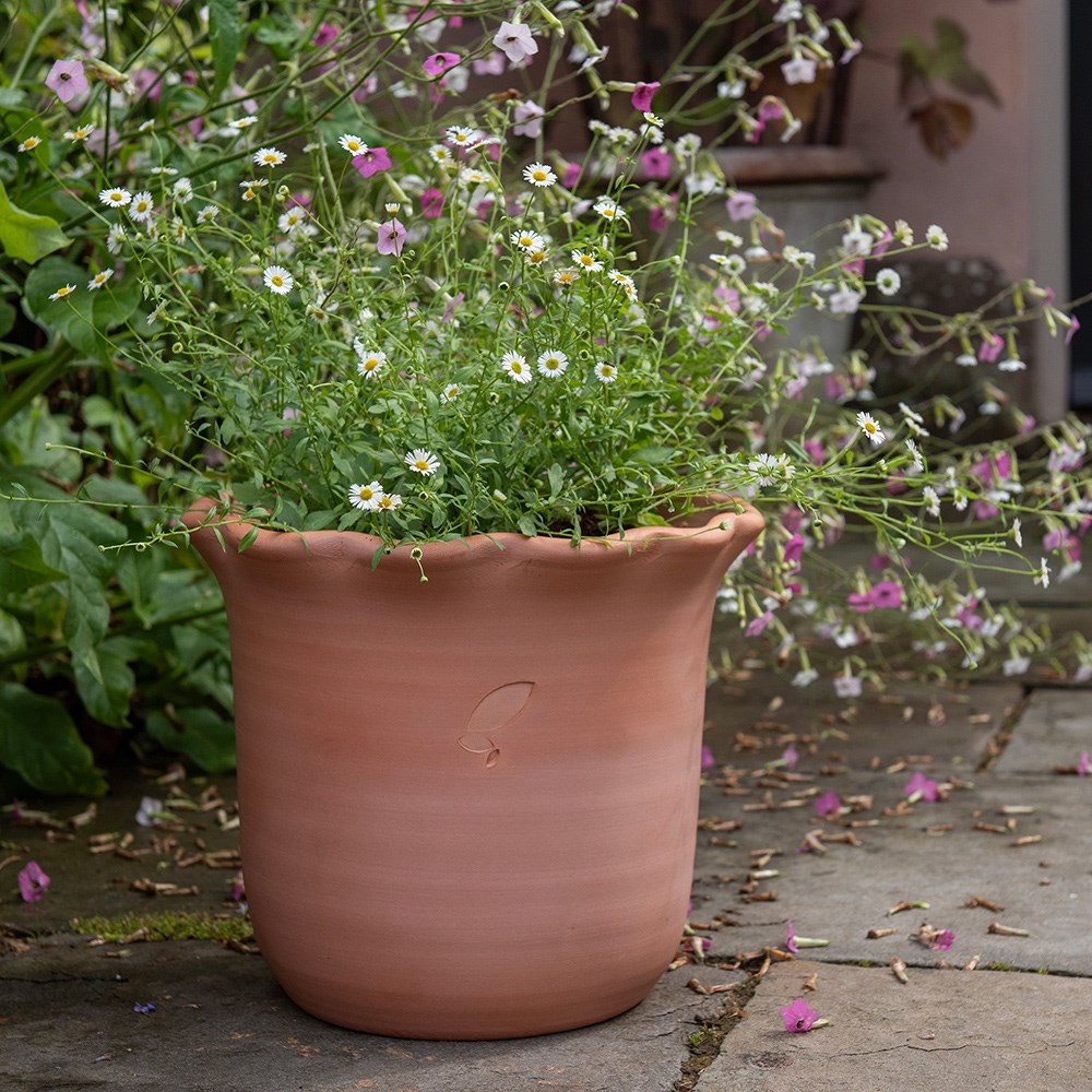 Terracotta ruffle pot 
