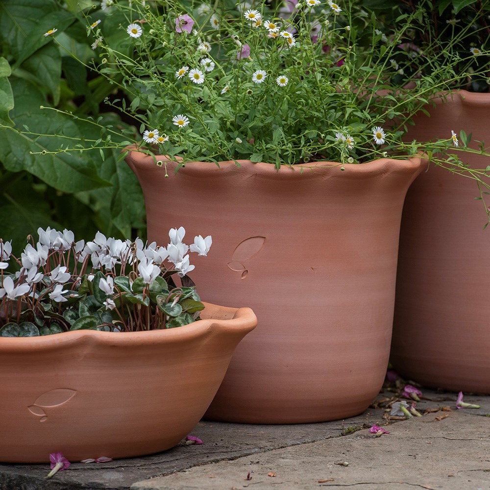 Terracotta ruffle pot 