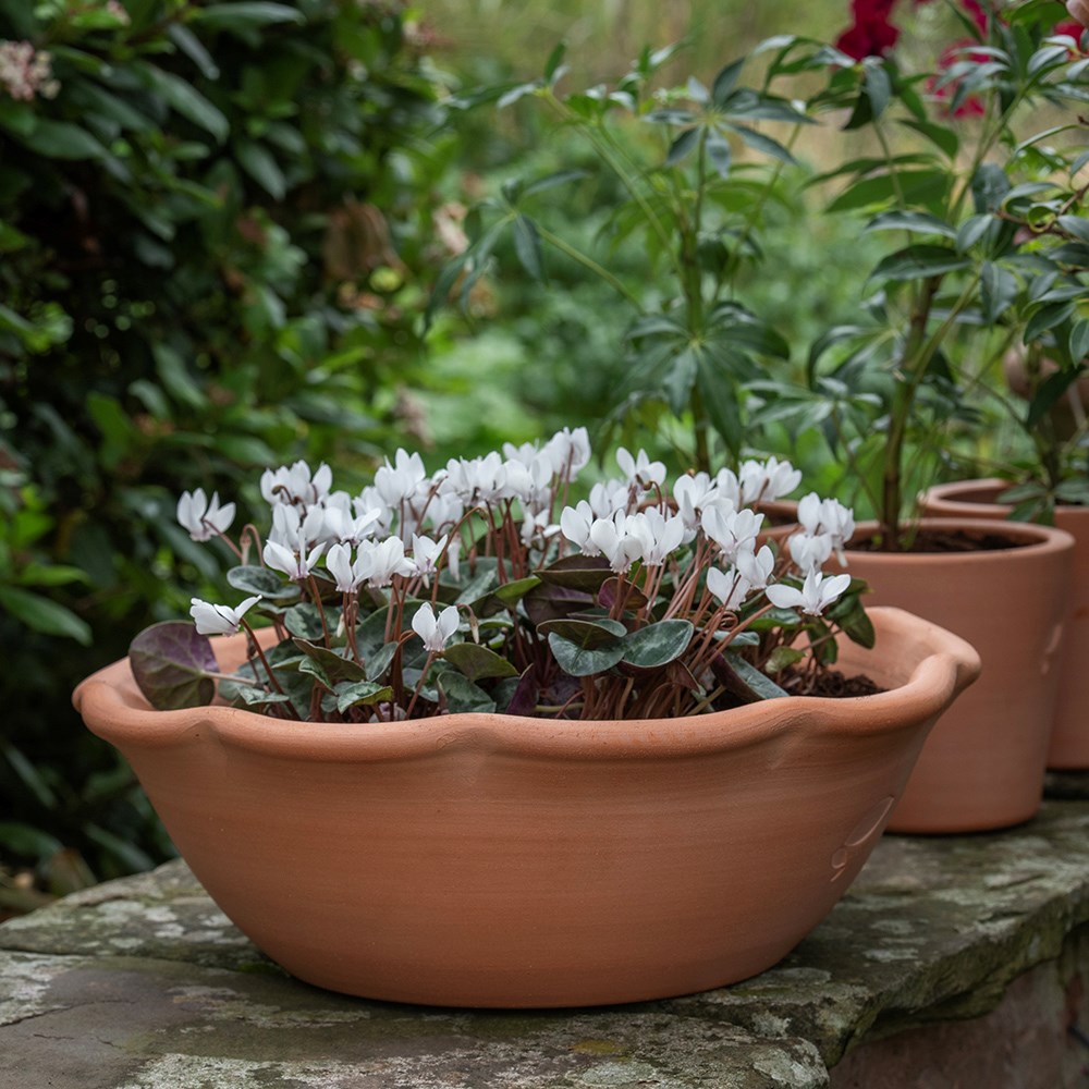 Terracotta ruffle bowl