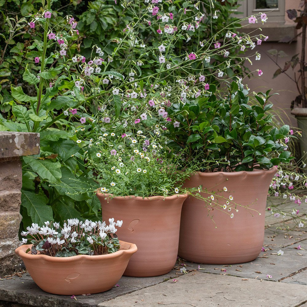 Terracotta ruffle bowl