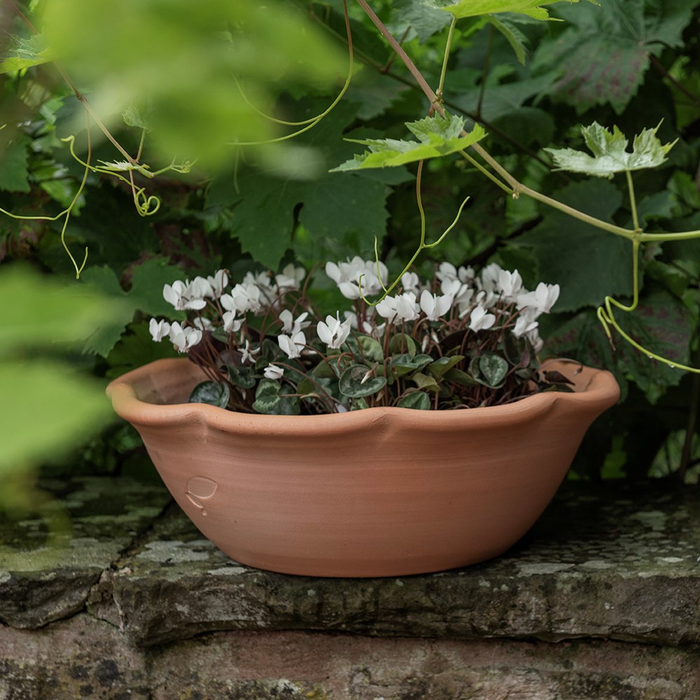 Terracotta ruffle bowl