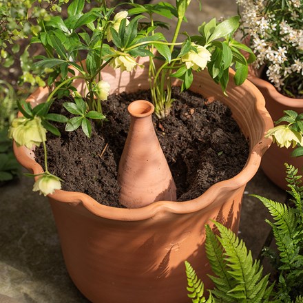 Large pot watering olla - terracotta