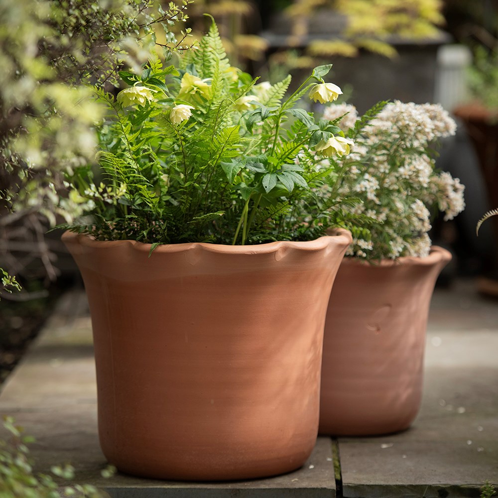 Large pot watering olla - terracotta