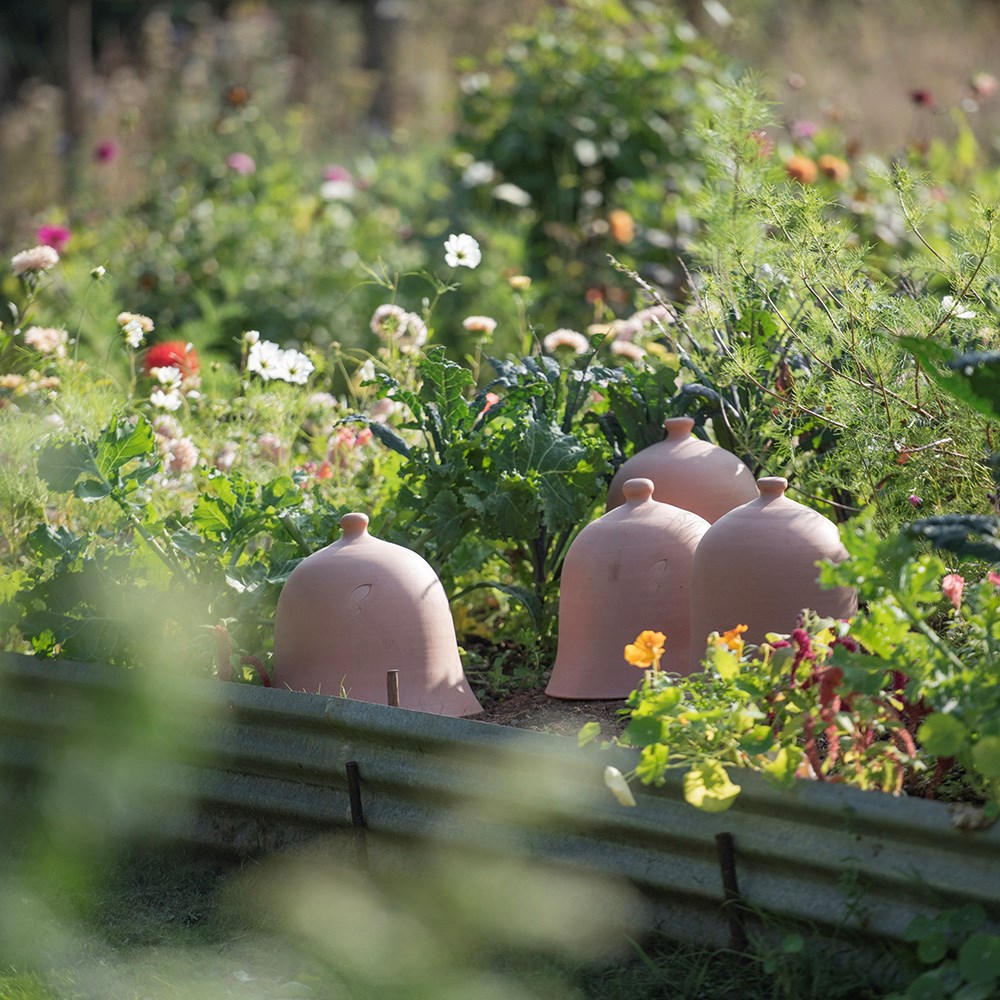 Terracotta bell cloche