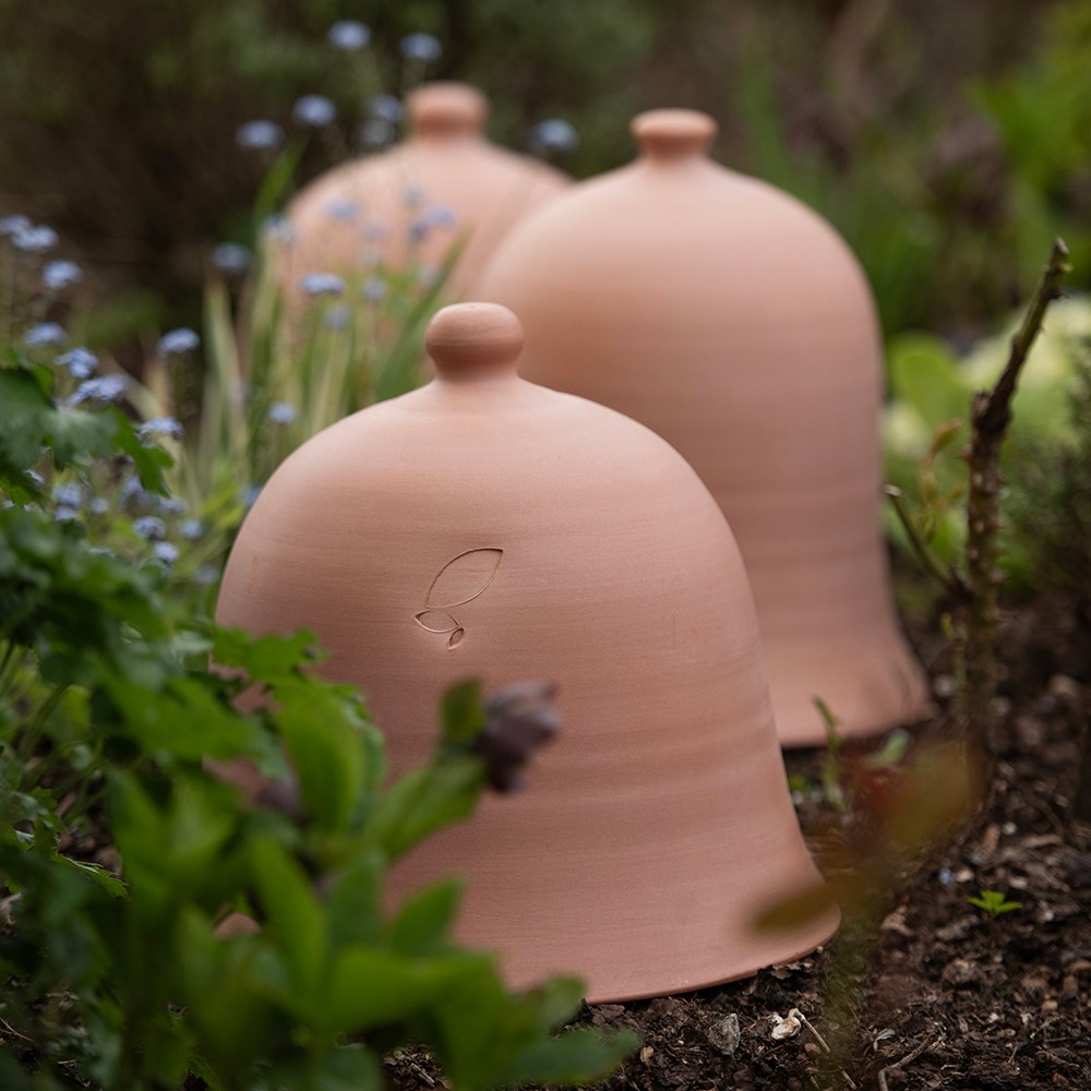 Terracotta bell cloche