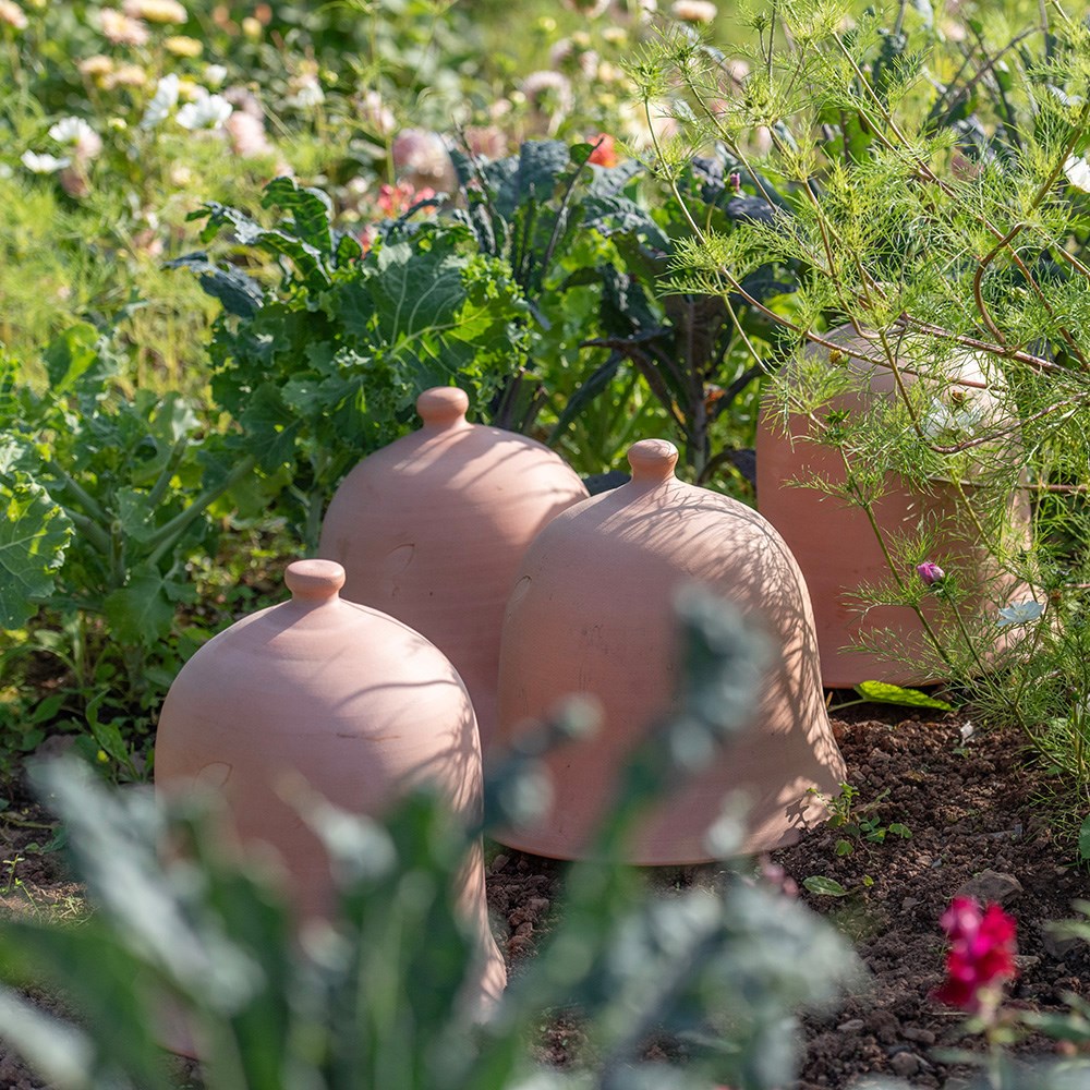 Terracotta bell cloche