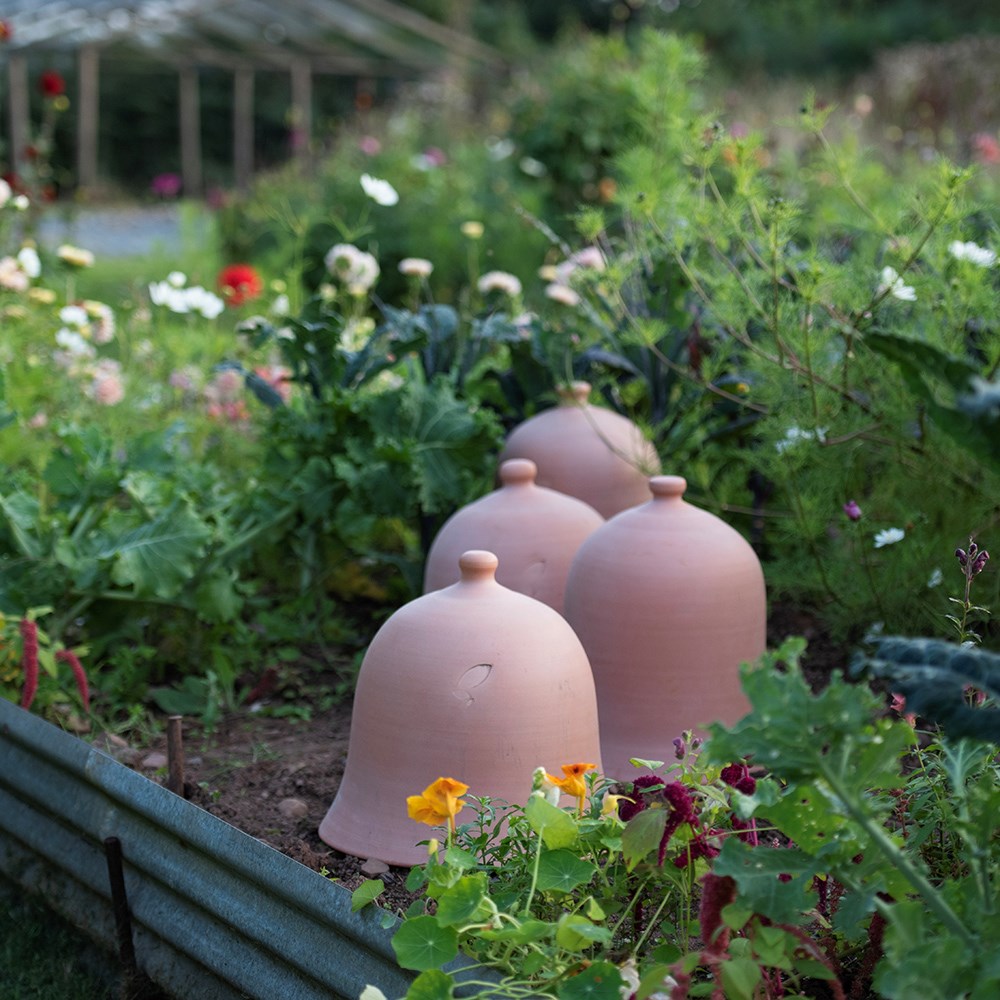 Terracotta bell cloche