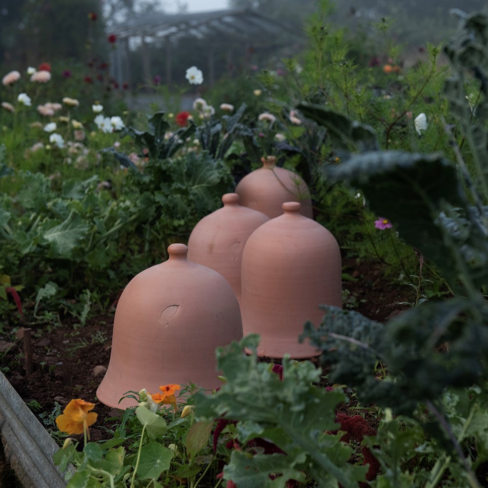 Terracotta bell cloche