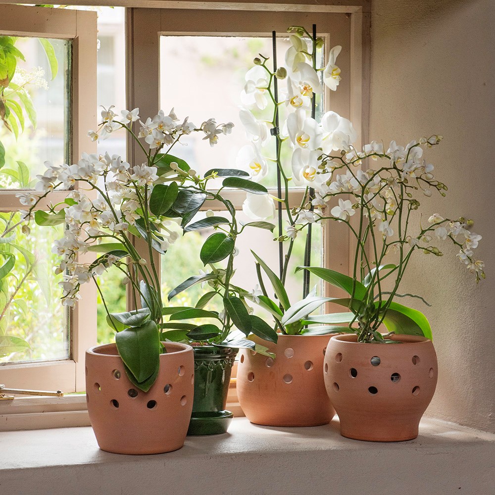 Terracotta orchid pots - set of 3