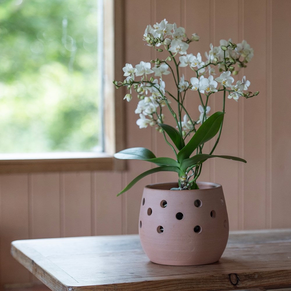 Terracotta orchid pots - set of 3