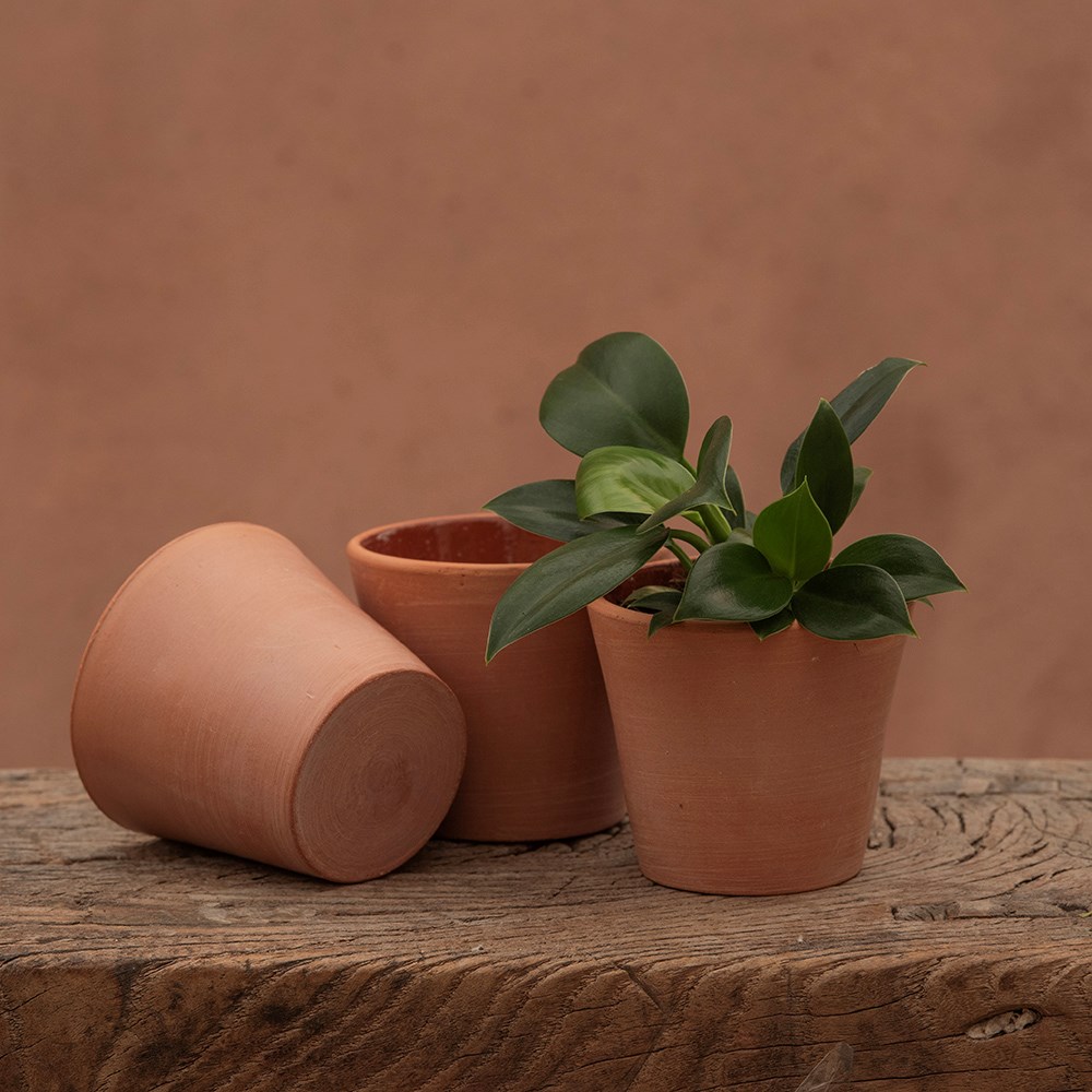 Indoor propagating pots - glazed inside - set of 3
