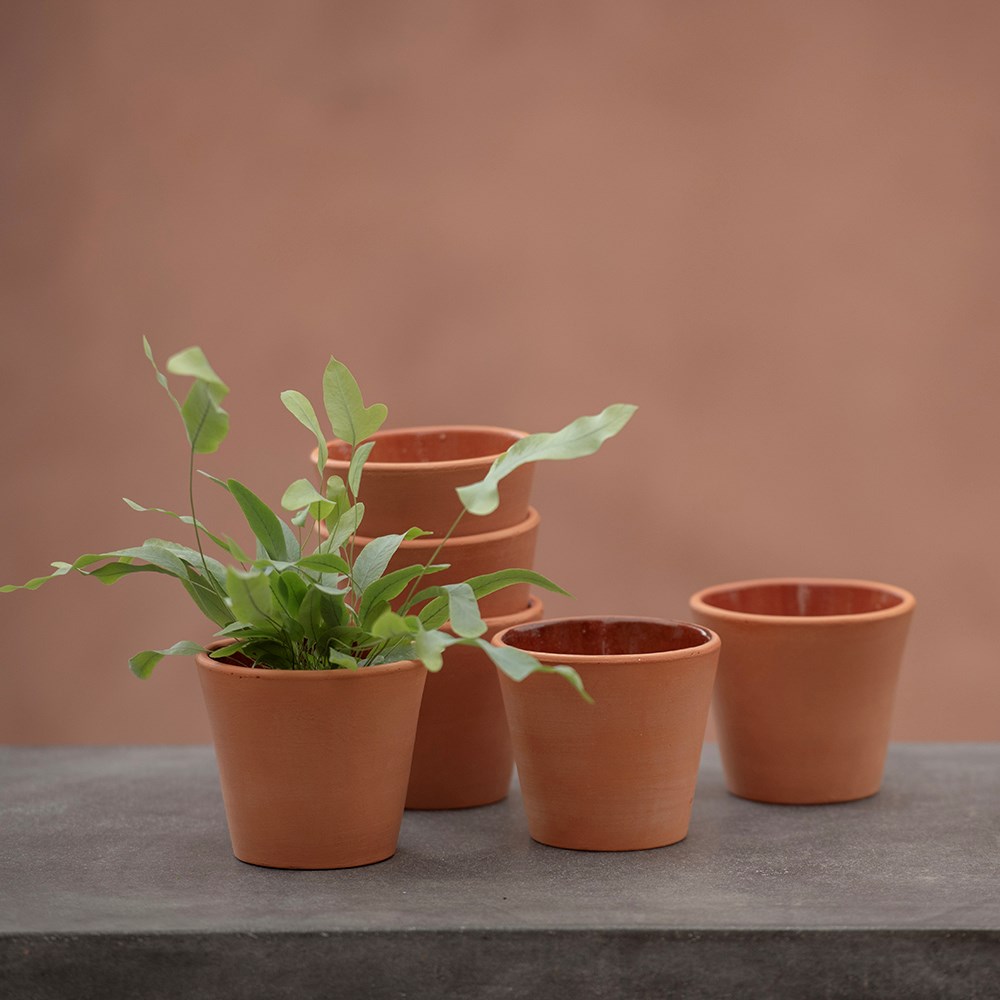 Indoor propagating pots - glazed inside - set of 3