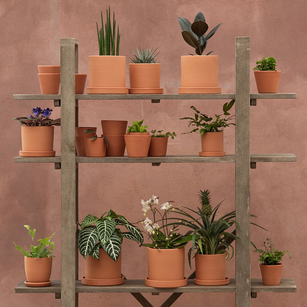 Indoor propagating pots - glazed inside - set of 3