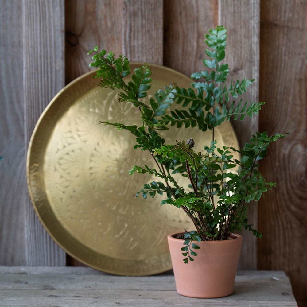 Terracotta pot - glazed inside