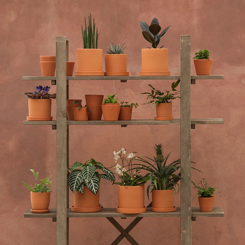 Terracotta pot - glazed inside
