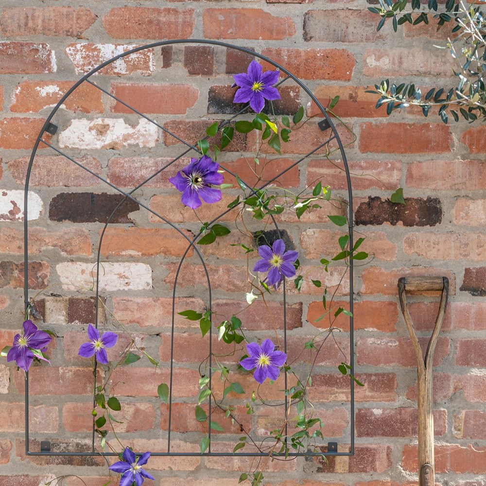 Metal decorative arch trellis - 2 colours