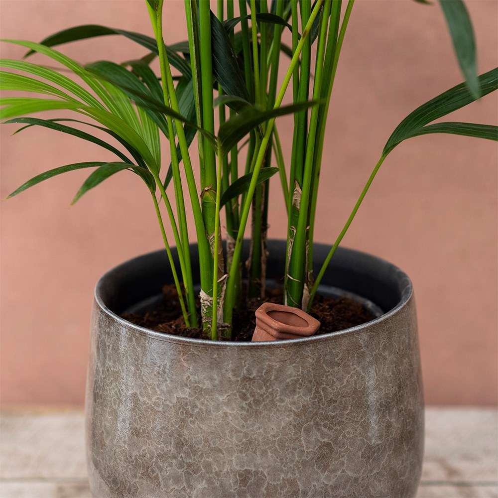 Terracotta water irrigation spikes