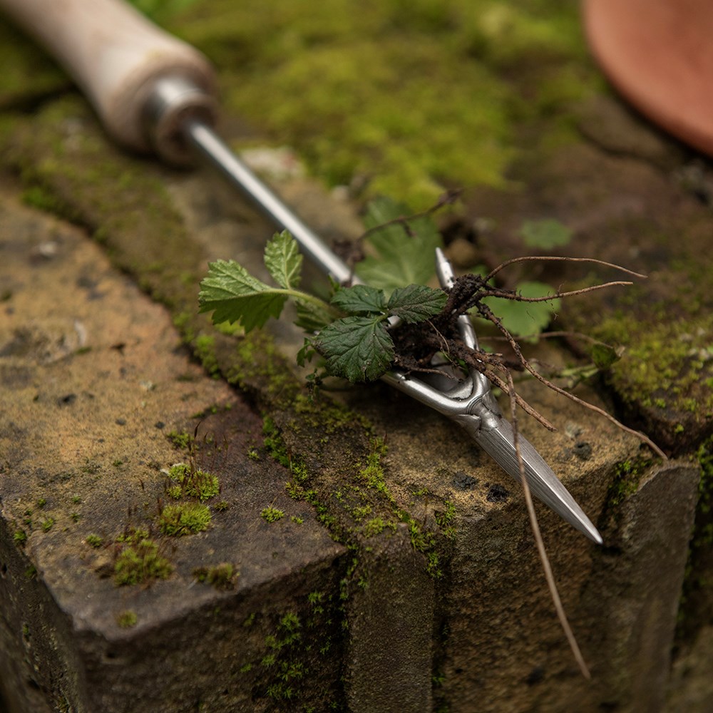 Sneeboer wrotter weeding tool