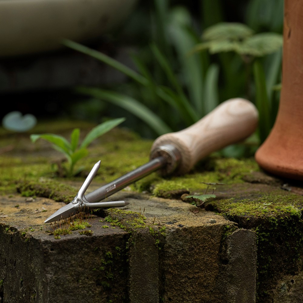 Sneeboer wrotter weeding tool