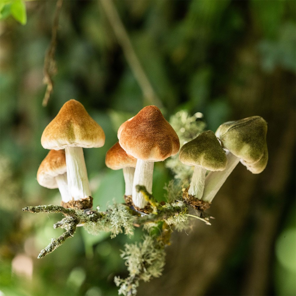 Mushroom clips - set of 3