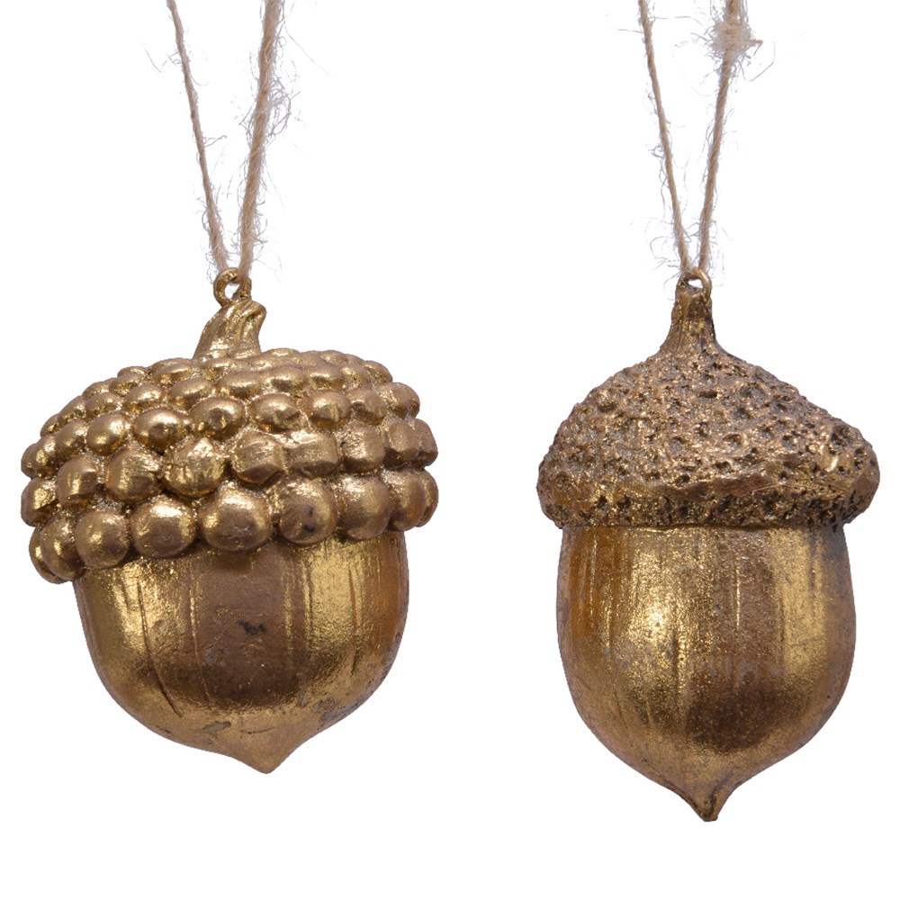 Two large golden acorns