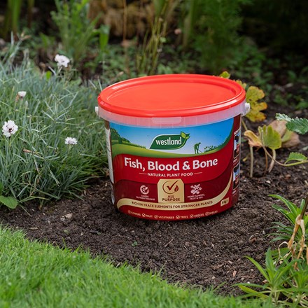 Fish blood and bone