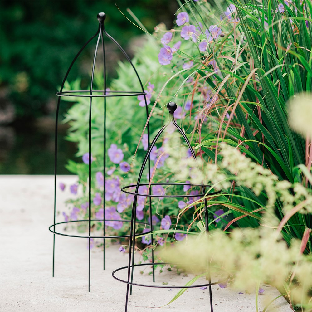 Ball top dome plant support - black