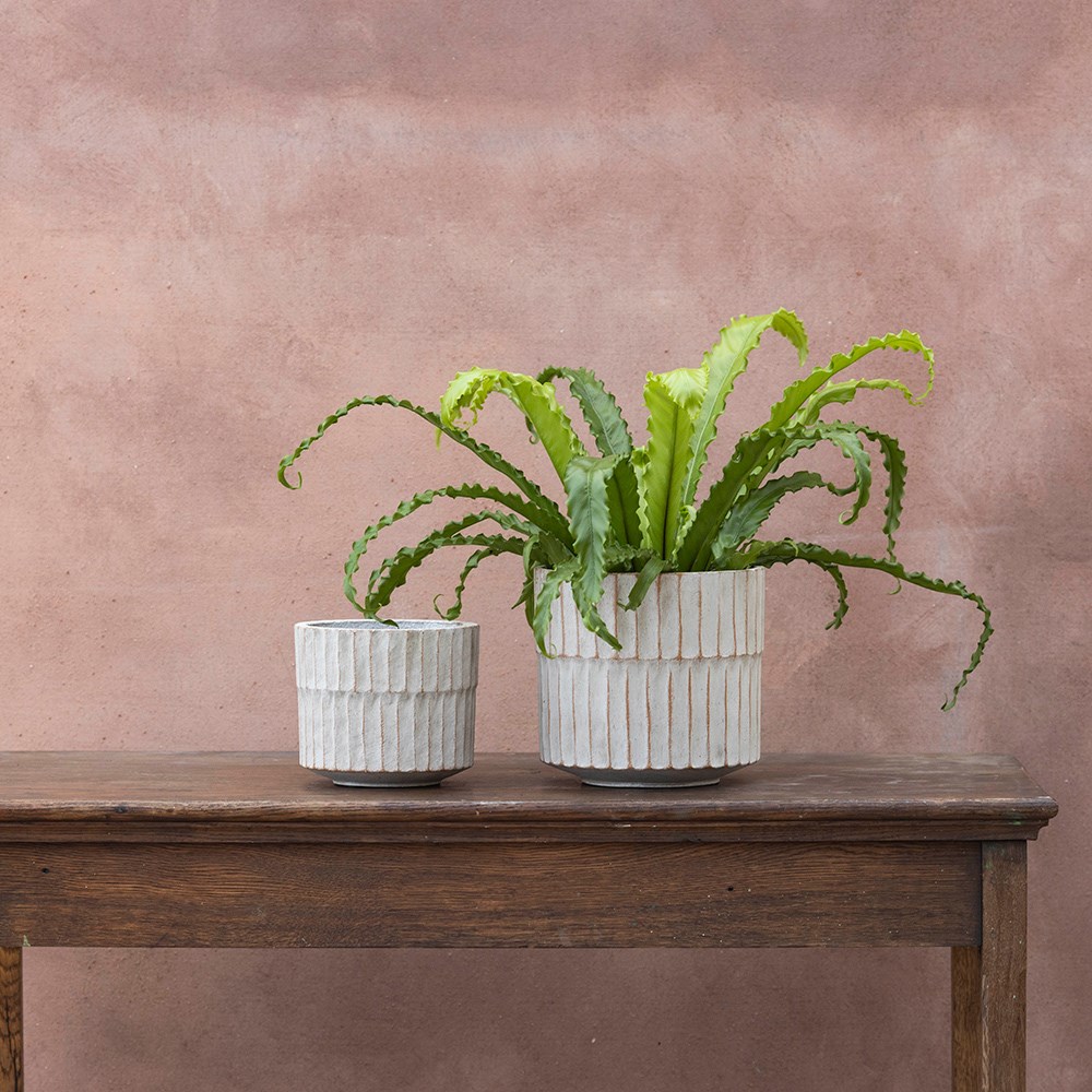 Rustic ribbed plant pot - light grey