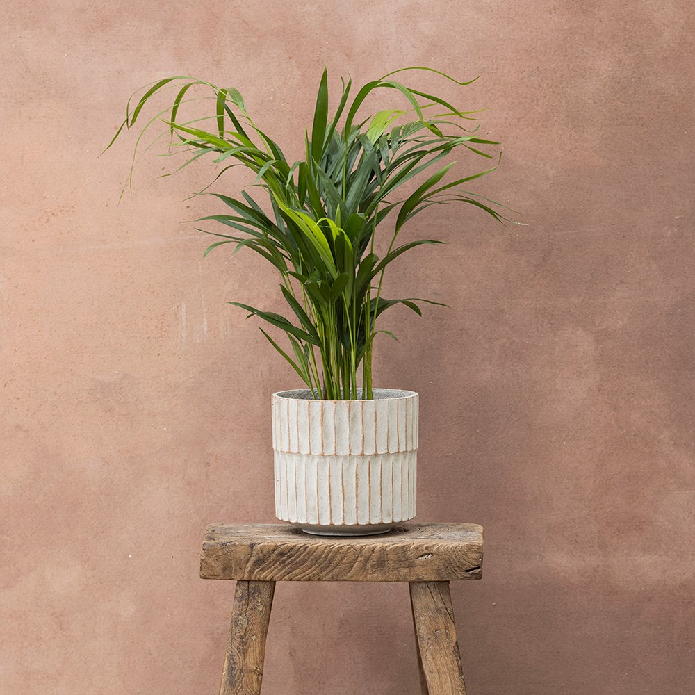 Rustic ribbed plant pot - light grey