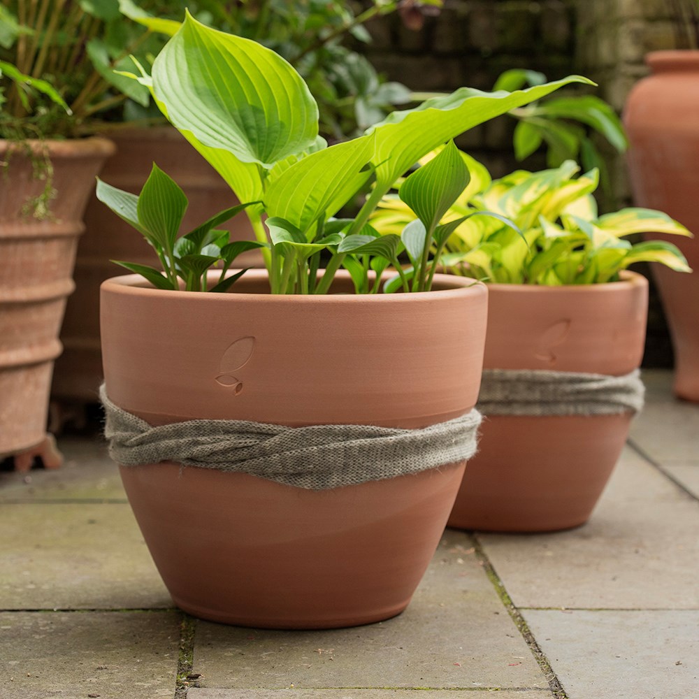 Wool pot scarf - snail and slug barrier