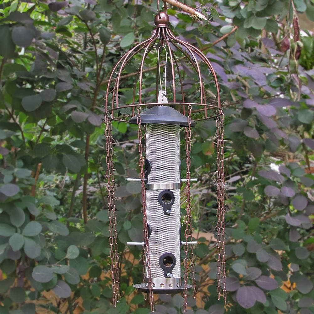 Simon King large bird defender feeder