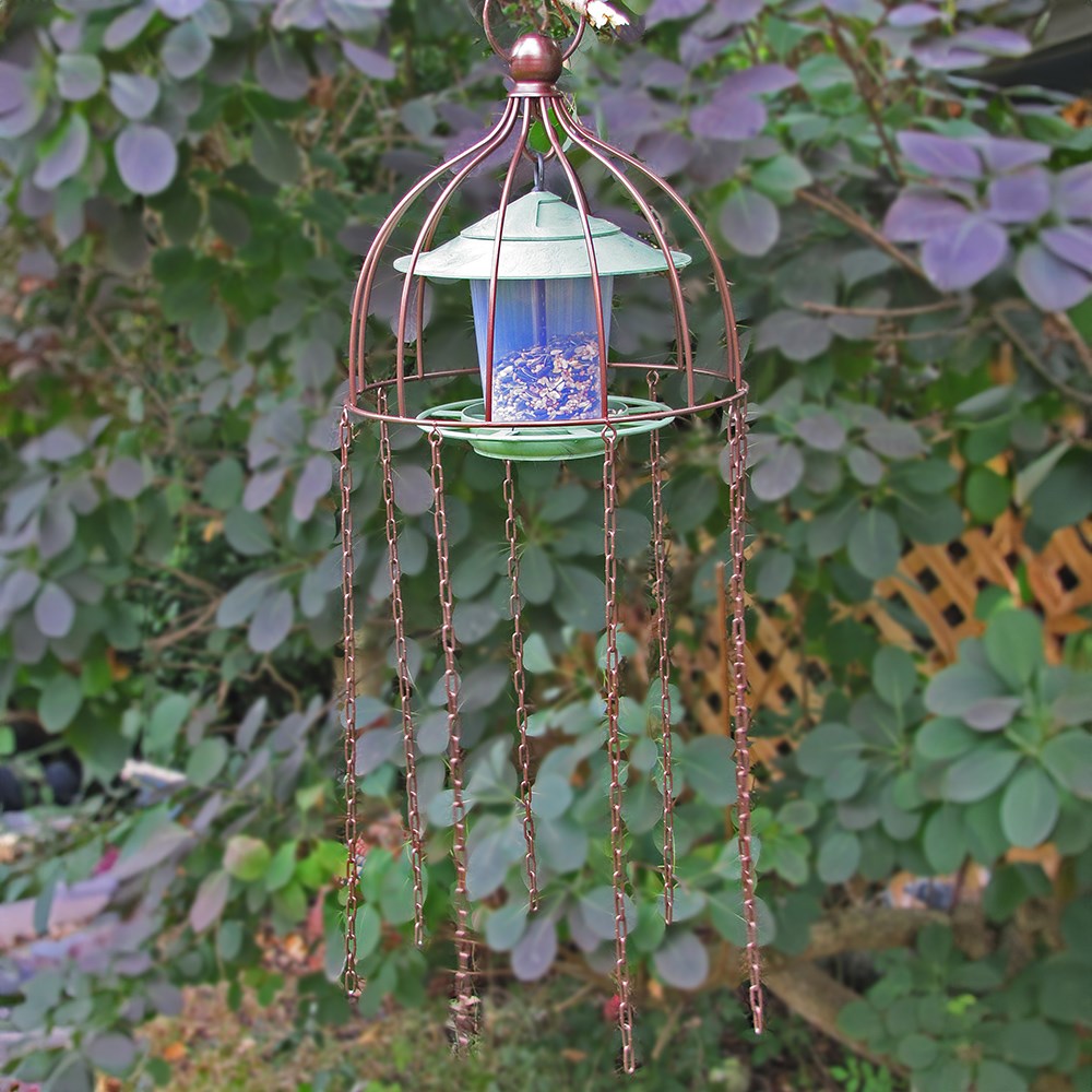 Simon King large bird defender feeder