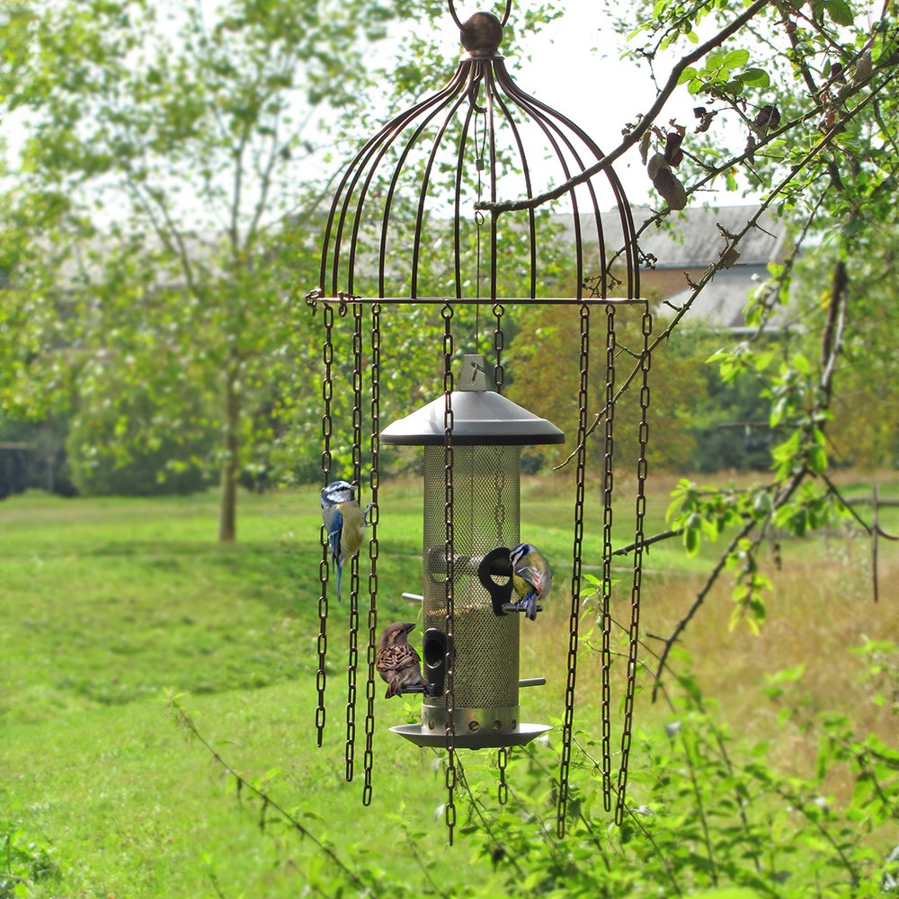 Simon King large bird defender feeder