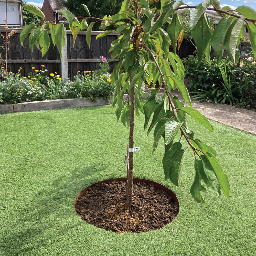 Corten steel tree ring edging - rust