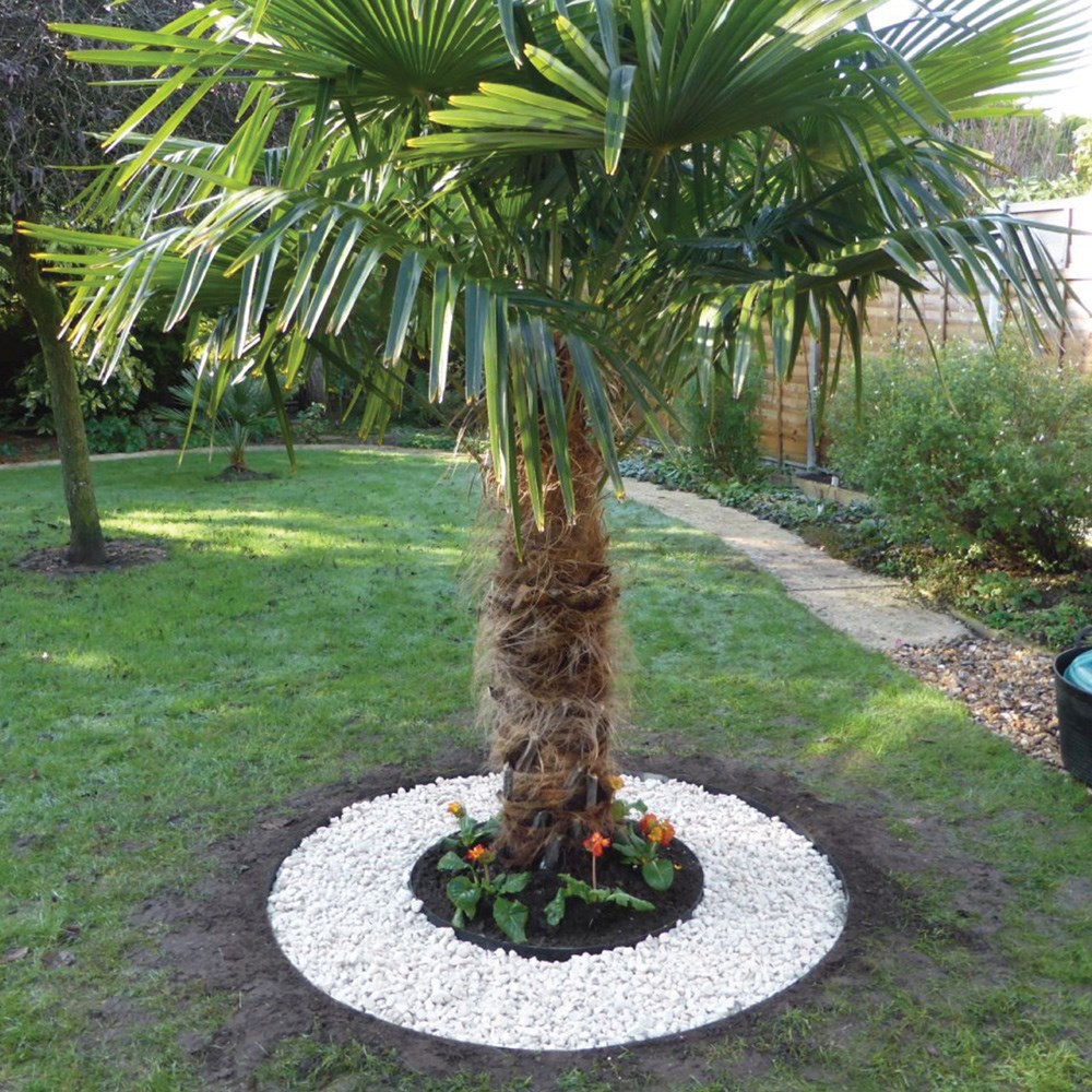Powder coated steel tree ring edging - black