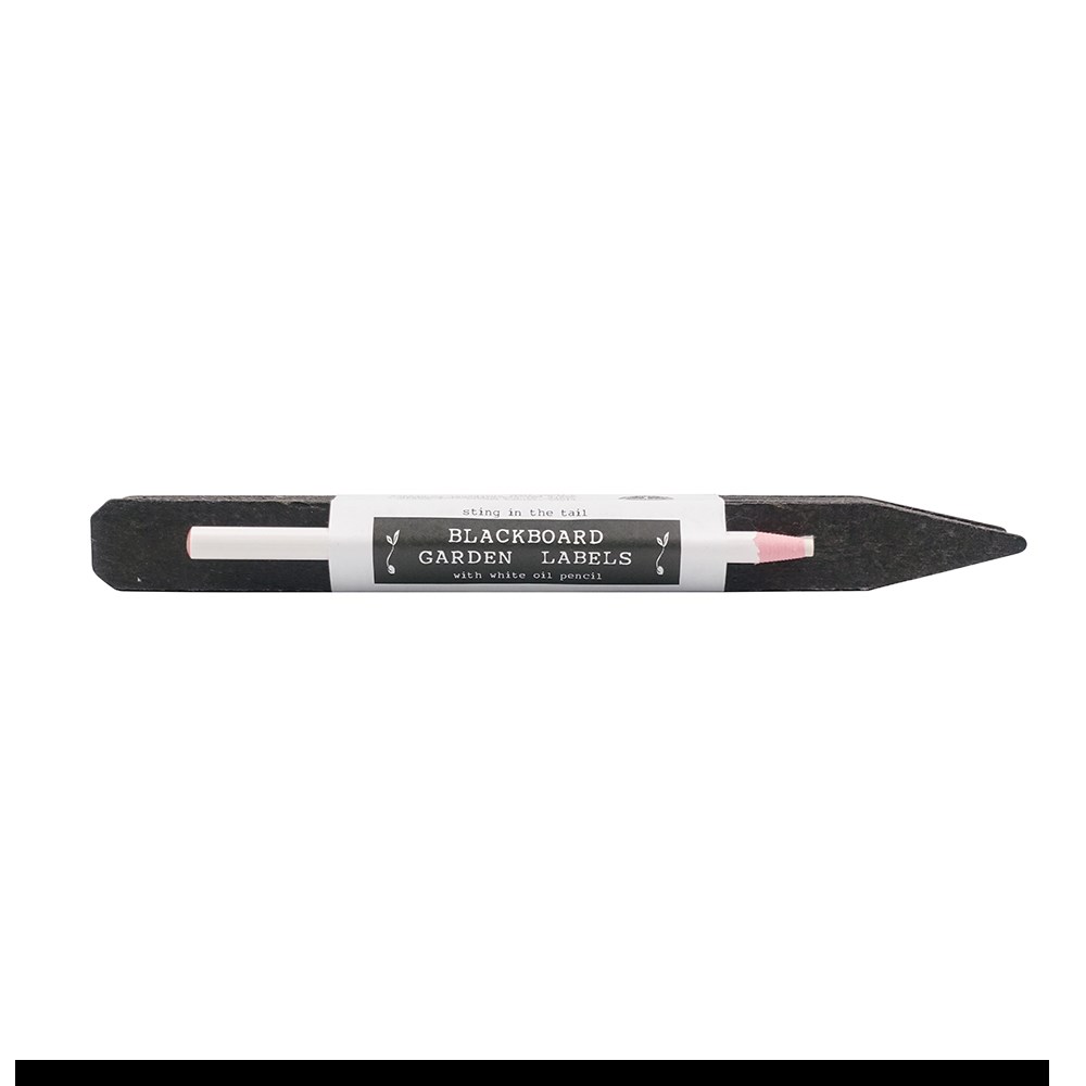 Chalkboard large labels & pencil - pack of 10