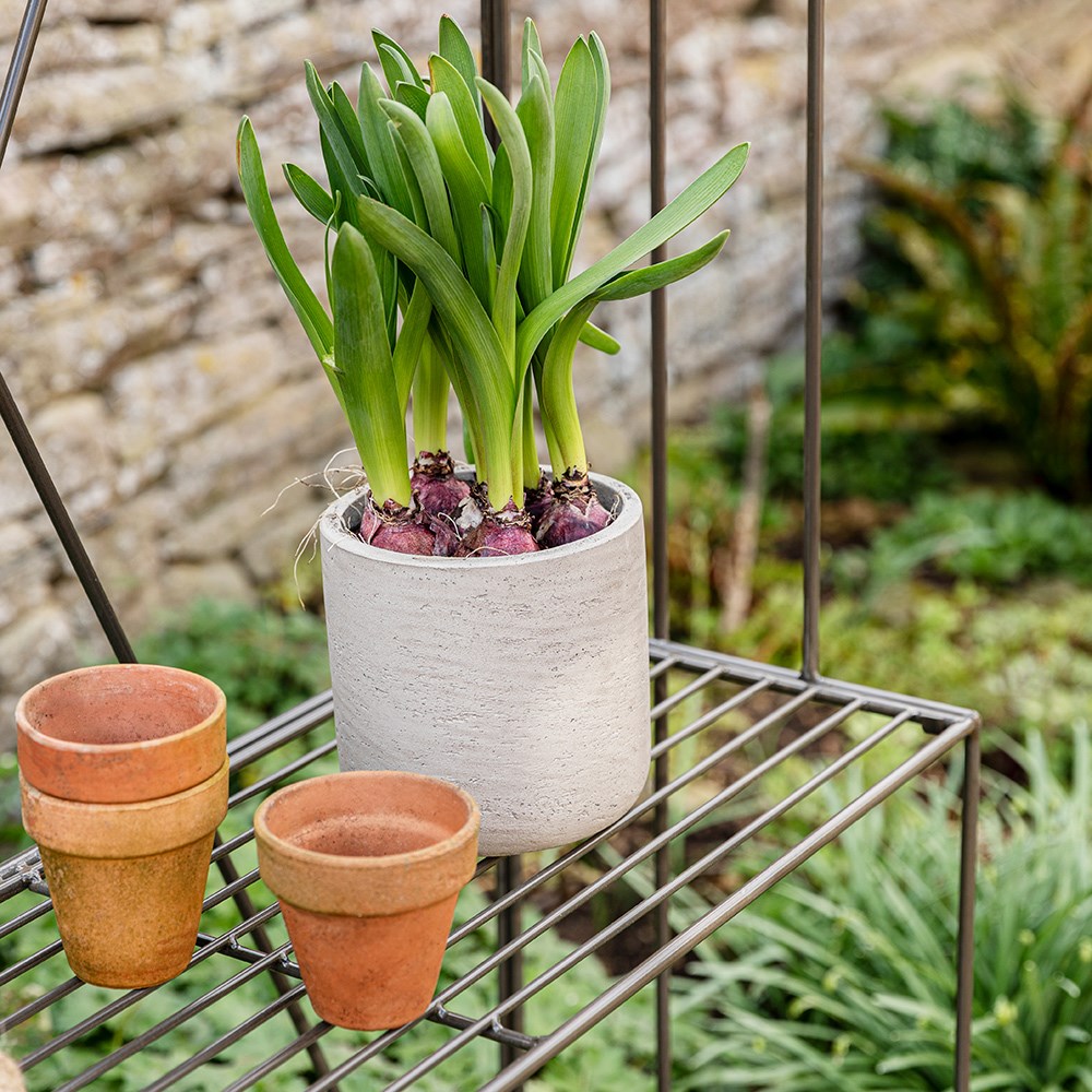 Tall steel plant stand