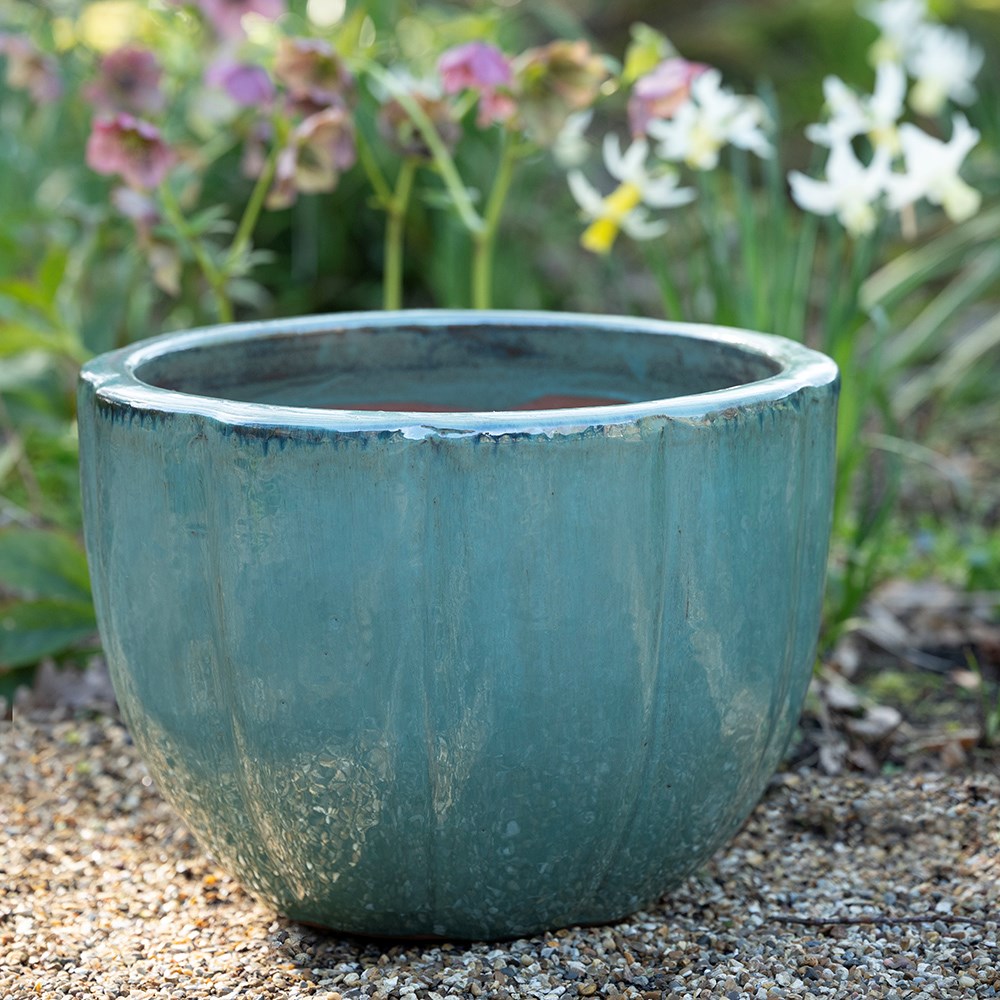 Barnacle planter - reef blue